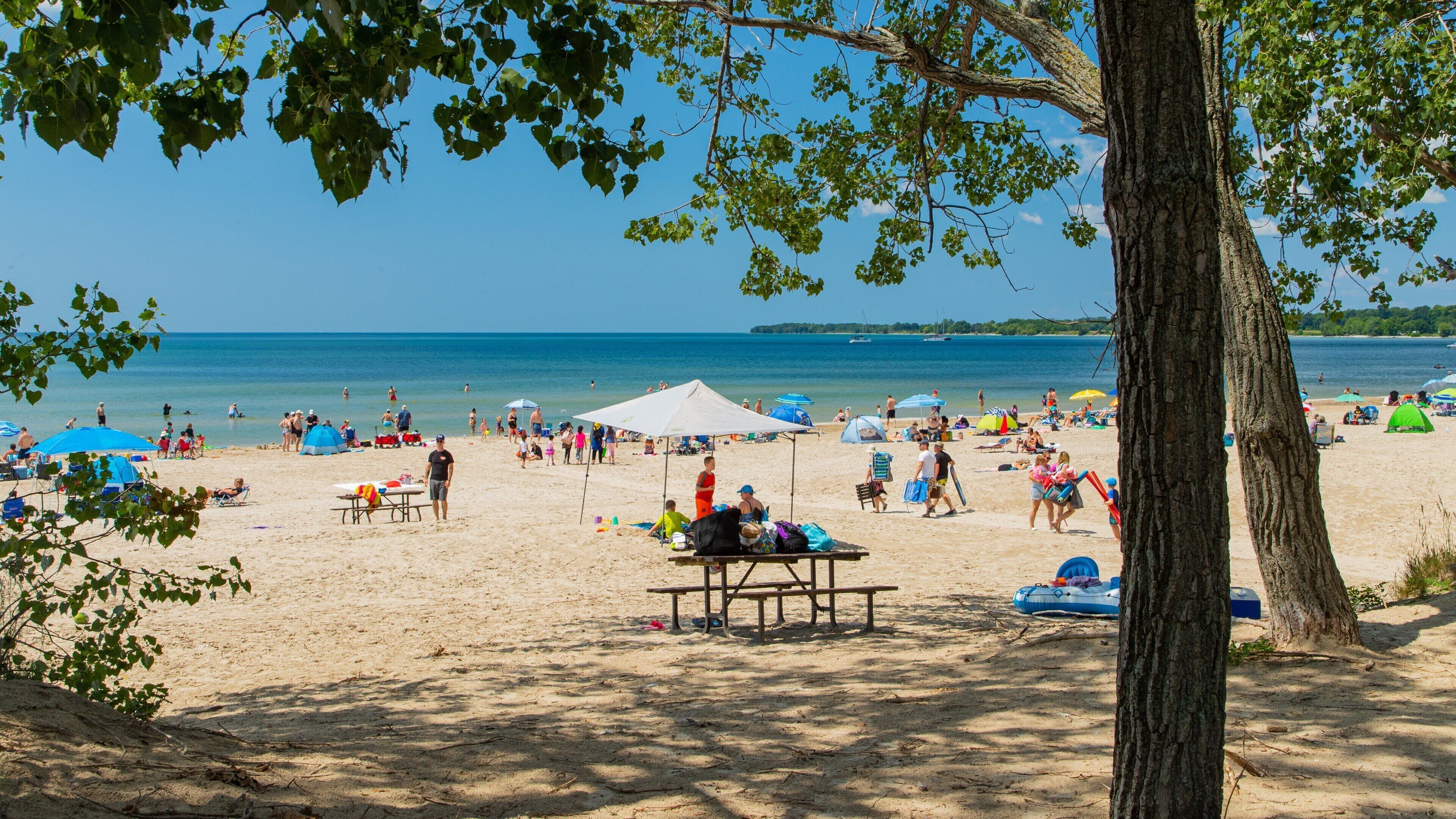 Serviettes de plage