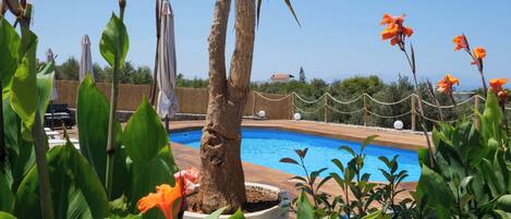 حمّام سباحة خارجي