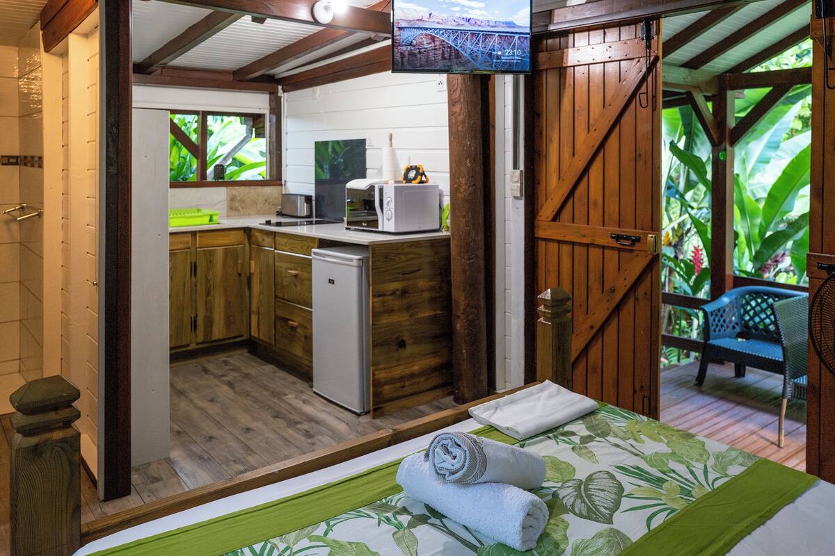 A compact room with a bed, a small kitchenette, and a view of the outdoors.