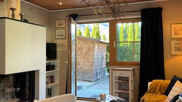 Smart TV, fireplace, books
