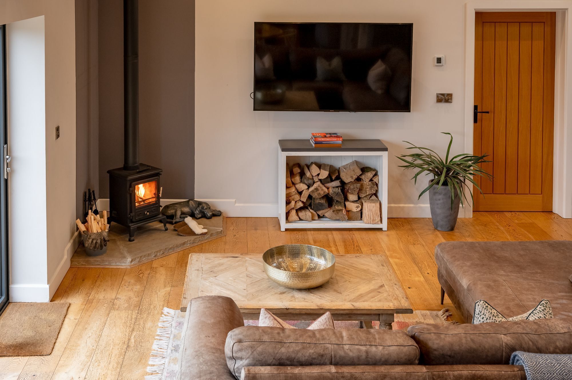 A cozy living room with a wood-burning stove, a TV mounted on the wall, a bookshelf, and a potted plant.