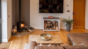 A cozy living room with a wood-burning stove, a TV mounted on the wall, a bookshelf, and a potted plant.