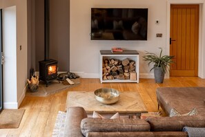 Smart TV, fireplace, video games, stereo