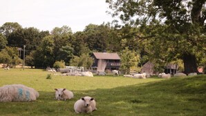 A rural landscape with a barn, sheep, and trees.