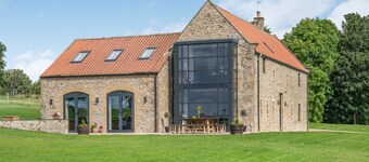 Dragonfly - Holiday At Home