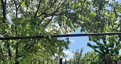 Cozy house with garden and parking