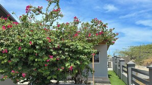 En have med en blomstrende plante og en hvid bygning med et gråt hegn.