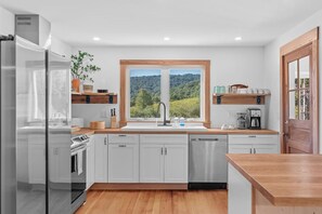 Fridge, oven, stovetop, dishwasher