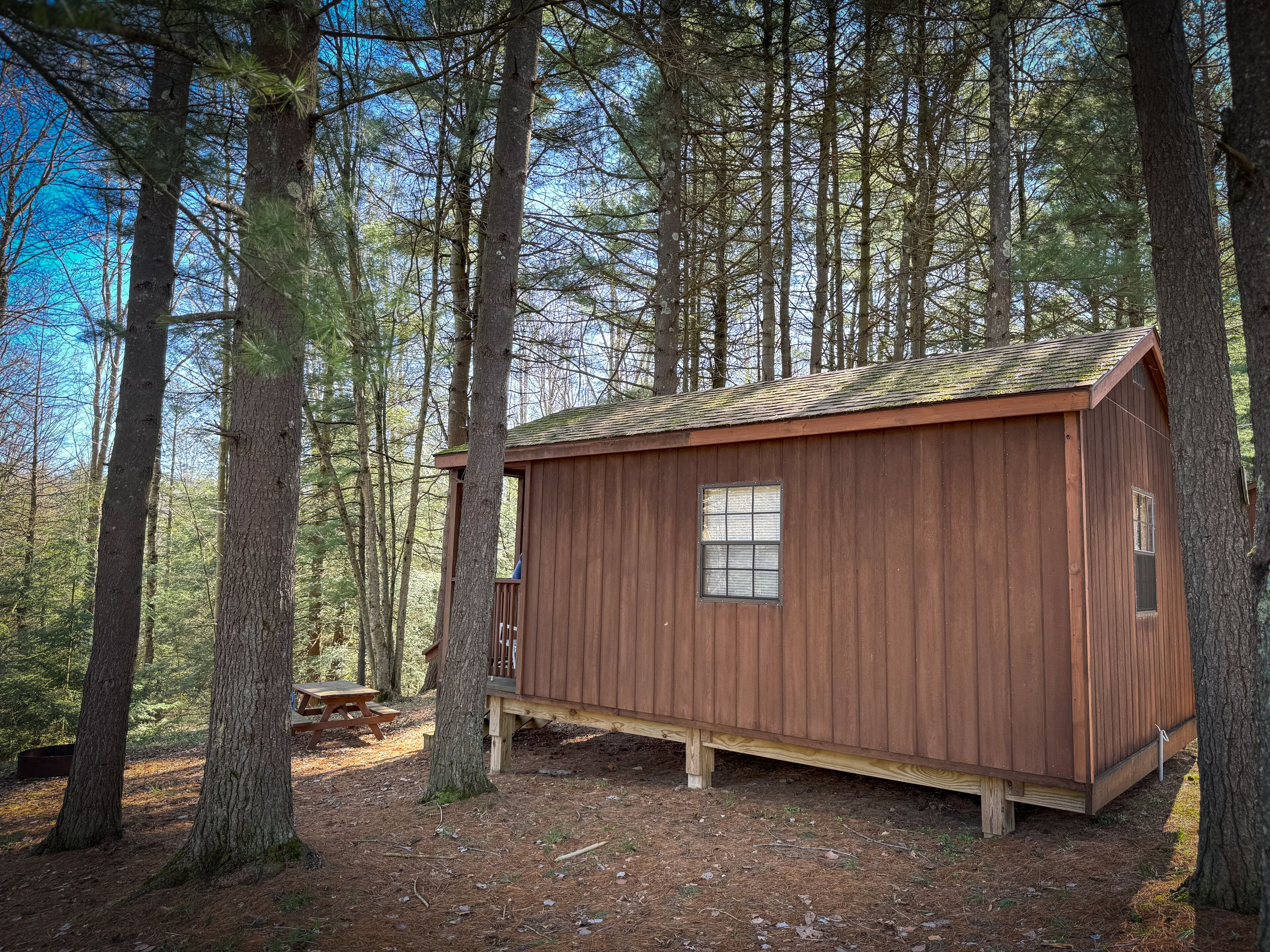 Une petite cabane en bois, située dans une forêt, sous un ciel dégagé.