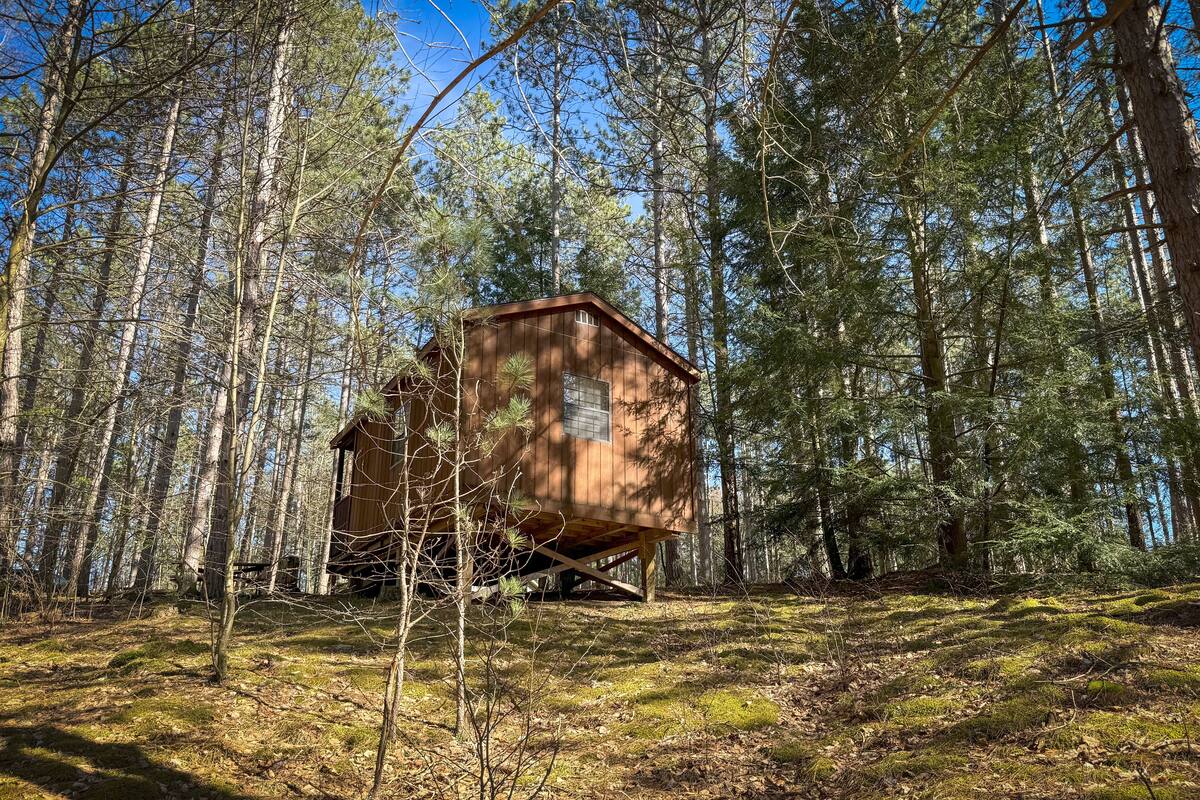 Een rustieke houten hut in een bos.