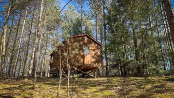 Une cabane en bois rustique, située dans une forêt.