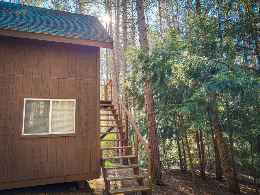 A wooden cabin with a staircase leading to a window, surrounded by a dense forest.
