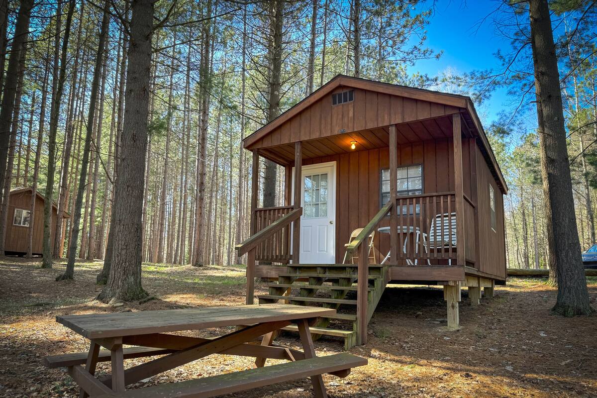 Een houten hutje met een veranda, een deur en een bankje in een bos.