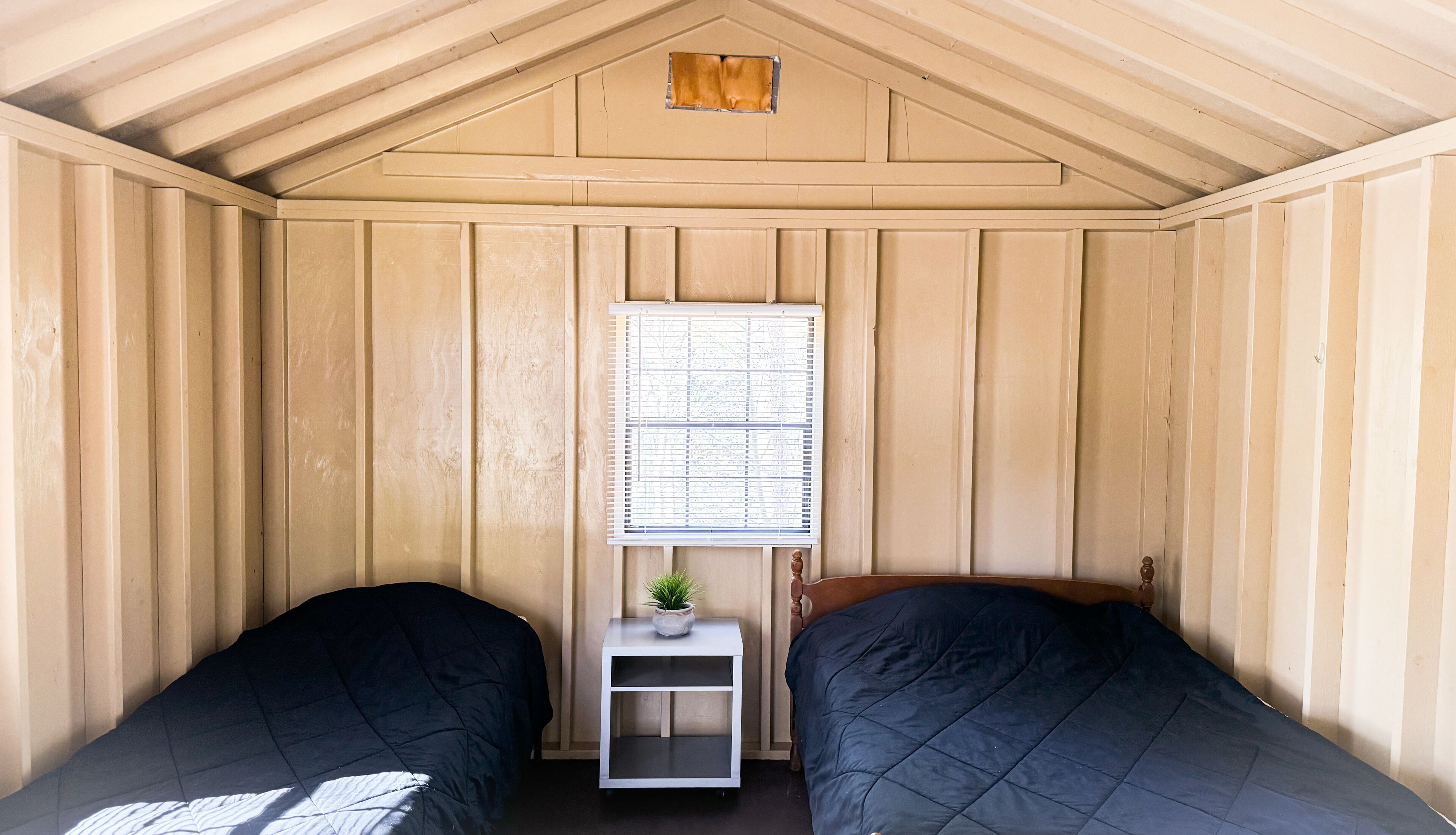 A small, single-room cabin with two beds, a window, and a small shelf with a plant.