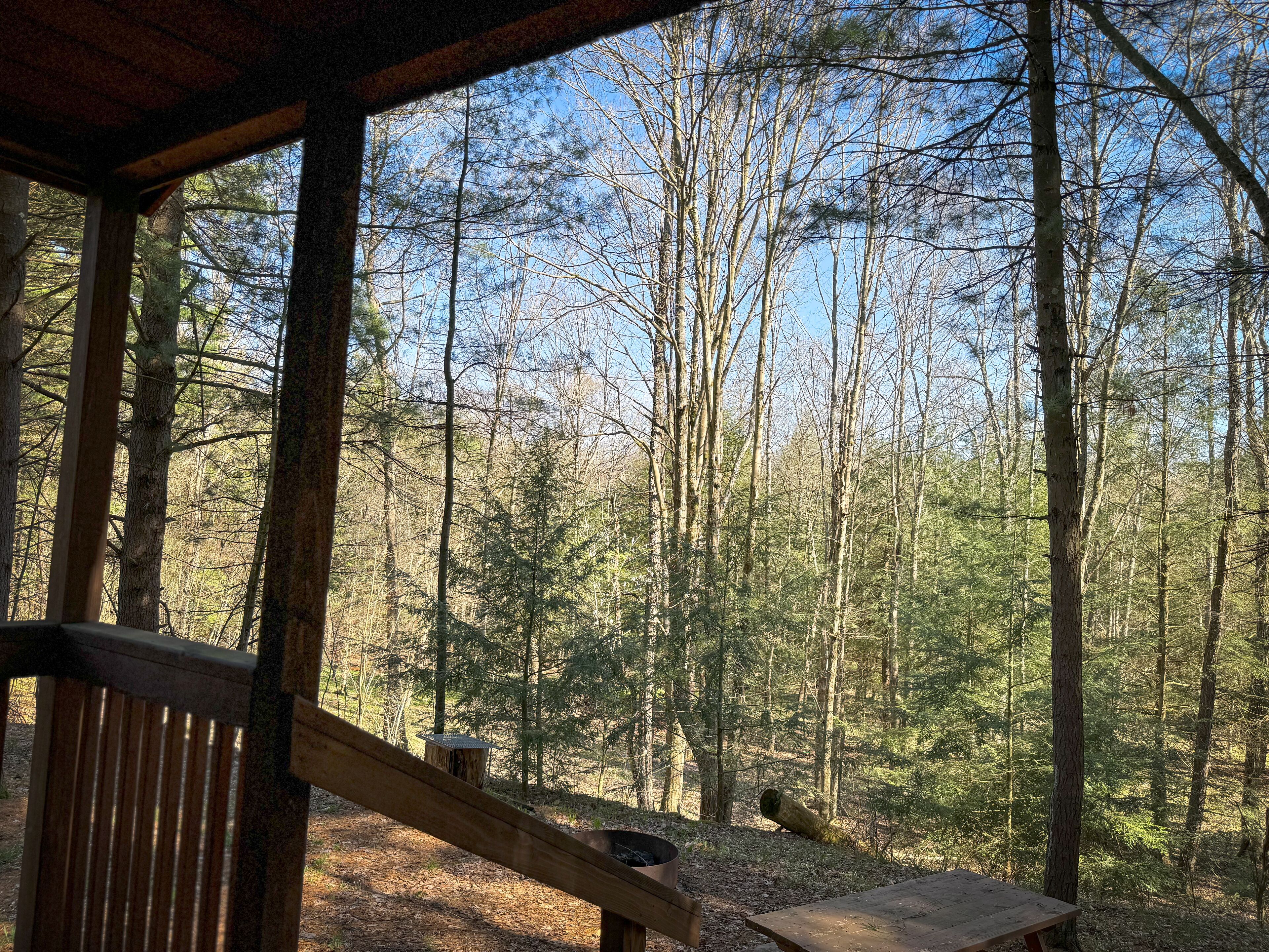 A wooden deck with a bench and a table, overlooking a forested area with tall trees.