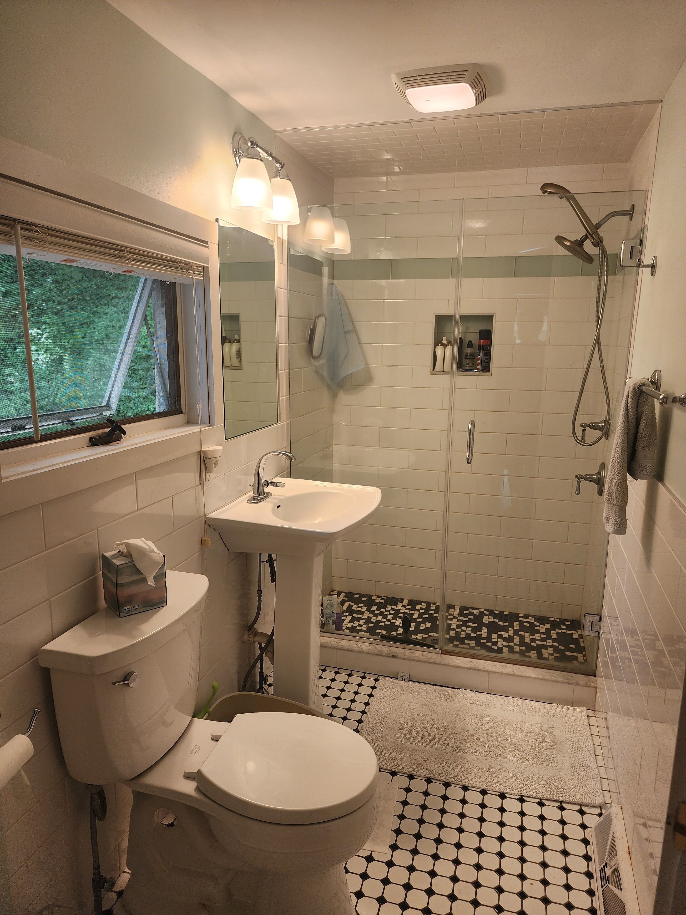 Shower, towels, toilet paper