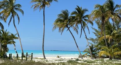 Newly Renovated Bathroom and Outdoor Shower! - Sandy Feet Retreat, Treasure Cay