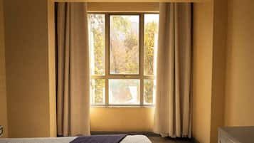 Habitación con 2 camas individuales | Edredones de plumas, caja fuerte, escritorio