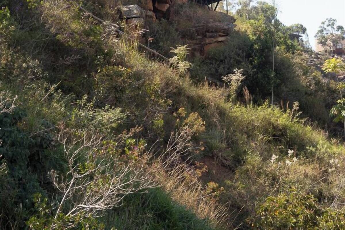 A rustic stone structure with a wooden balcony, surrounded by lush vegetation.