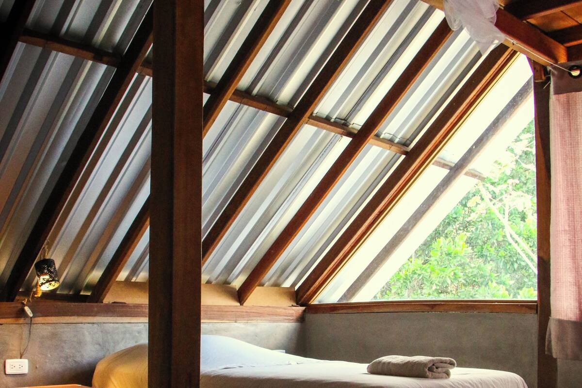 Basic Shared Dormitory, Courtyard View | Blackout drapes