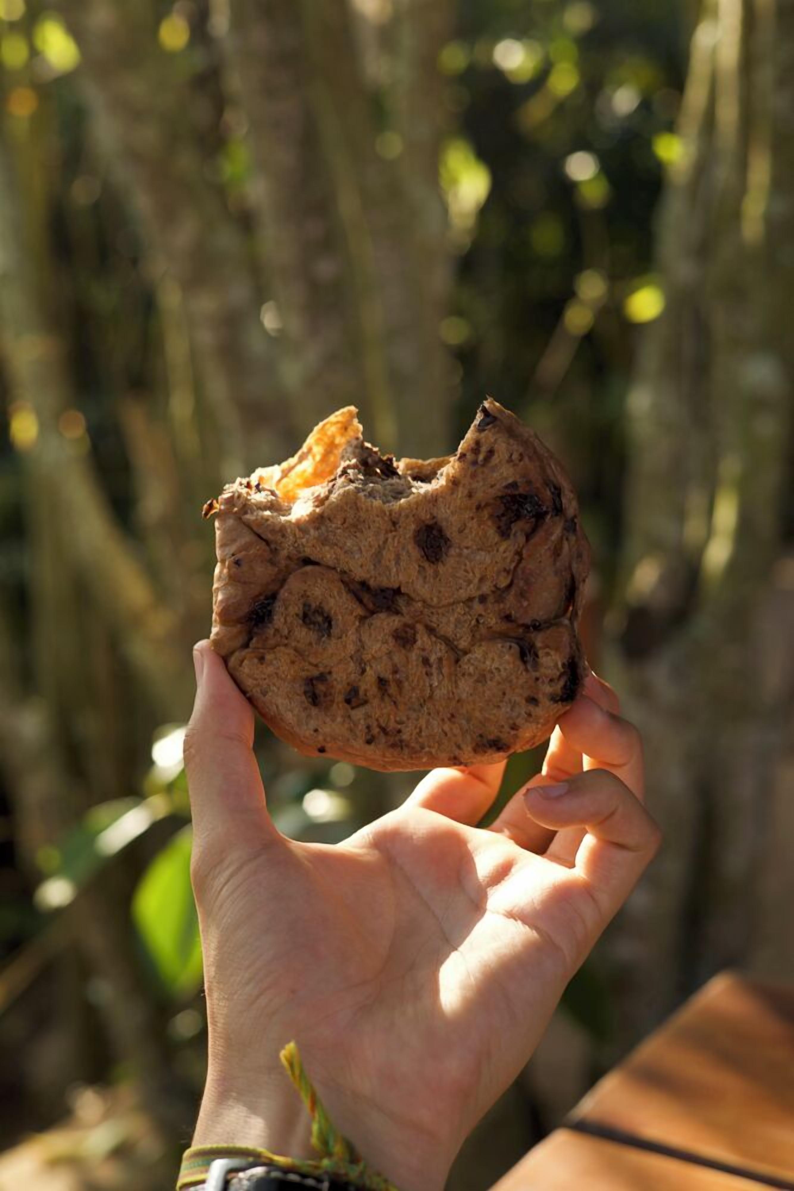 A hand holding a partially eaten cookie with a blurred natural background.
