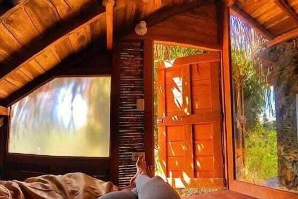 A rustic wooden room with a sloped ceiling, a large window, and a door with shutters.