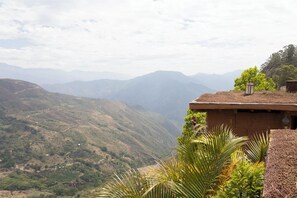 ستائر تعتيم