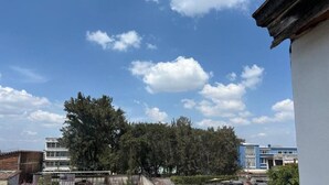 Vista de un edificio con fachada blanca y techo azul, rodeado de árboles y otros edificios.