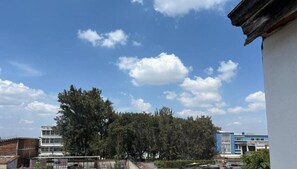 Vista de un edificio con fachada blanca y techo azul, rodeado de árboles y otros edificios.