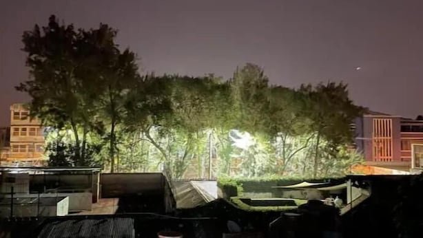 Vista nocturna de una azotea con árboles y edificios al fondo.