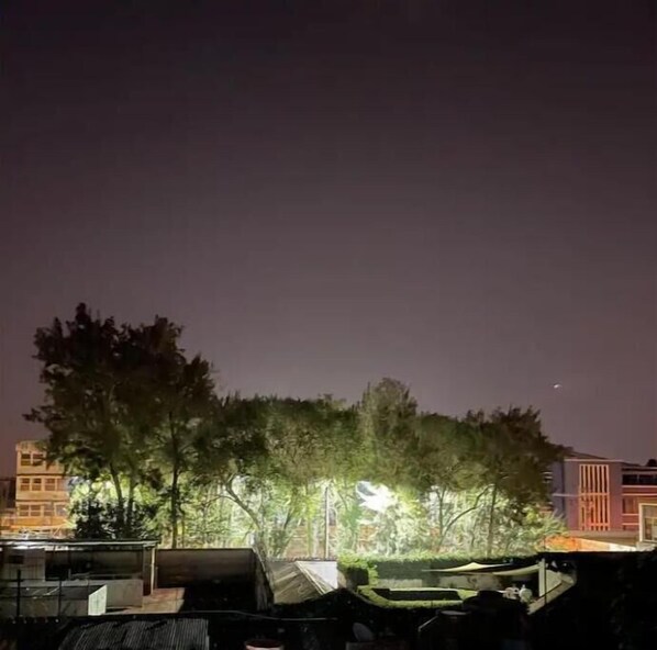 Vista nocturna de una azotea con árboles y edificios al fondo.