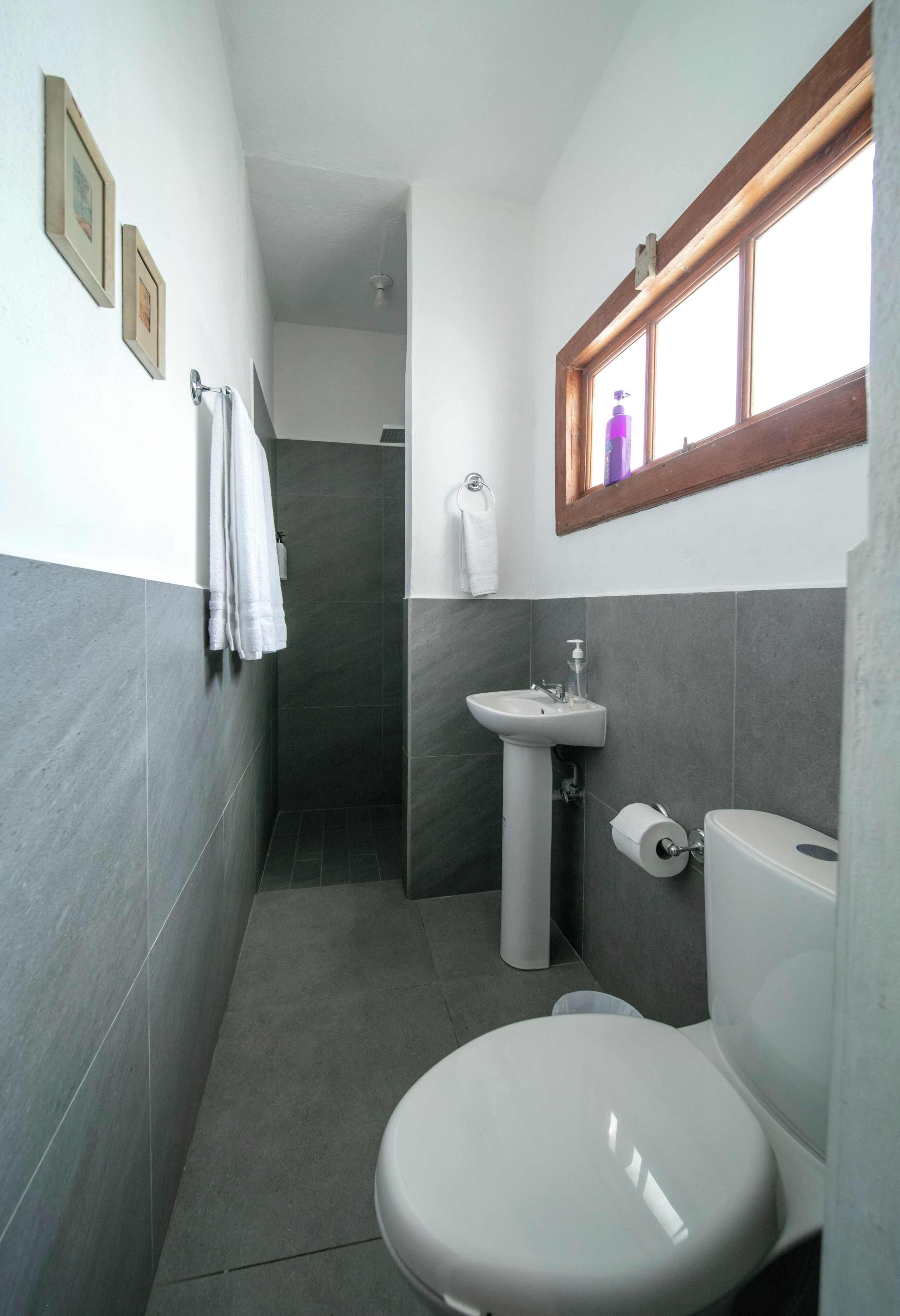 Un baño pequeño con inodoro, lavabo y zona de ducha.