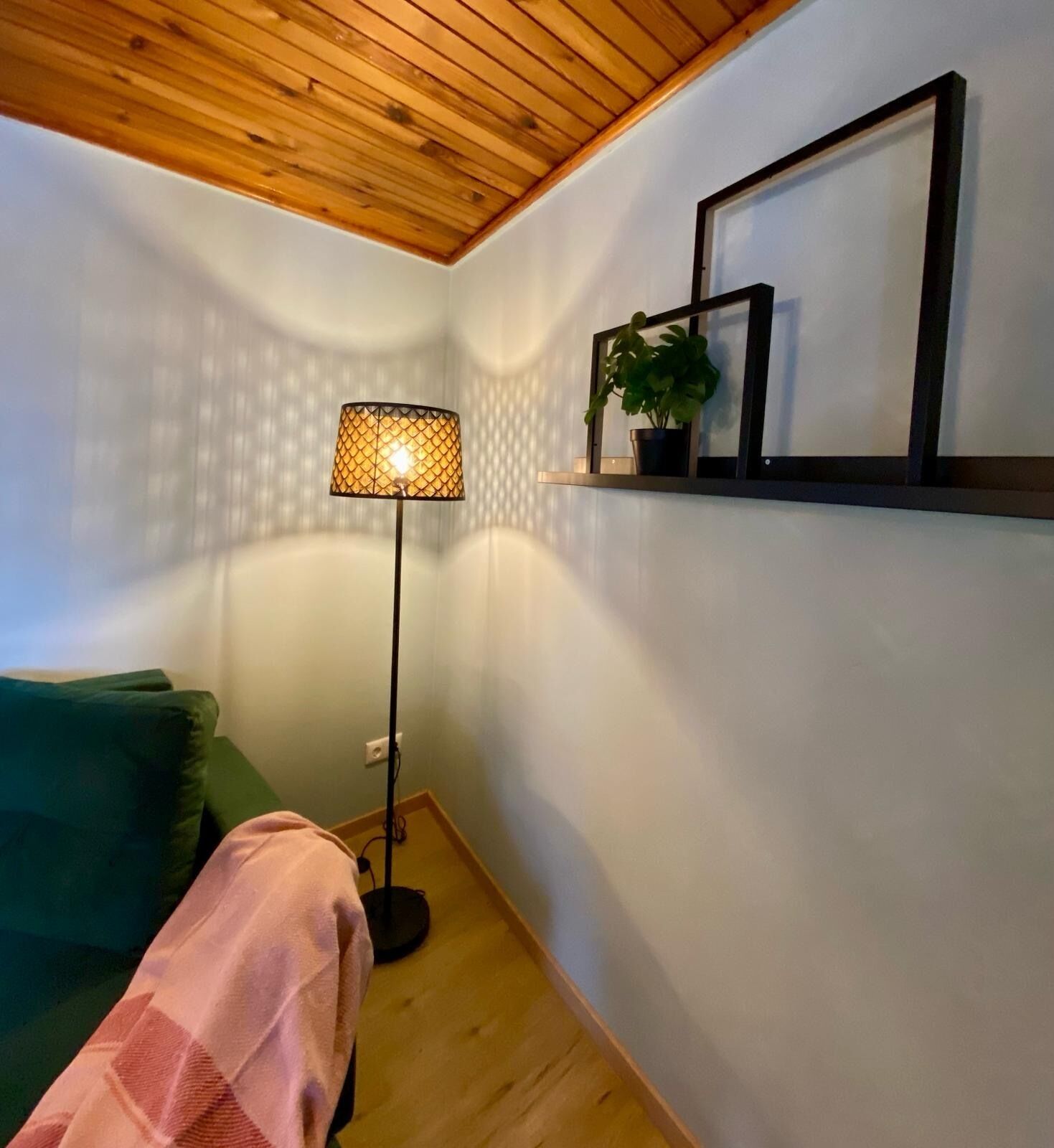 Ein Zimmer mit Holzboden, einer Stehlampe, einem grünen Sofa, einer rosafarbenen Decke und einem an der Wand befestigten Regal mit einer Pflanze.