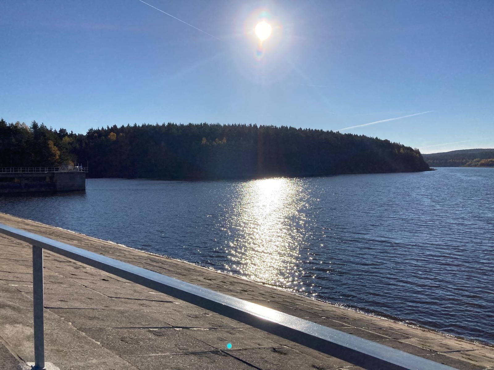 Blick auf das Wasser mit einem Steg und einer bewaldeten Insel.