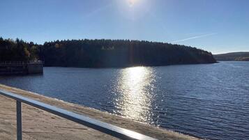 Blick auf das Wasser mit einem Steg und einer bewaldeten Insel.