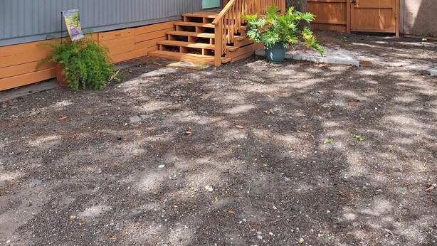 A single-story mobile home with a wooden staircase leading to a green door, surrounded by trees and a fenced yard.