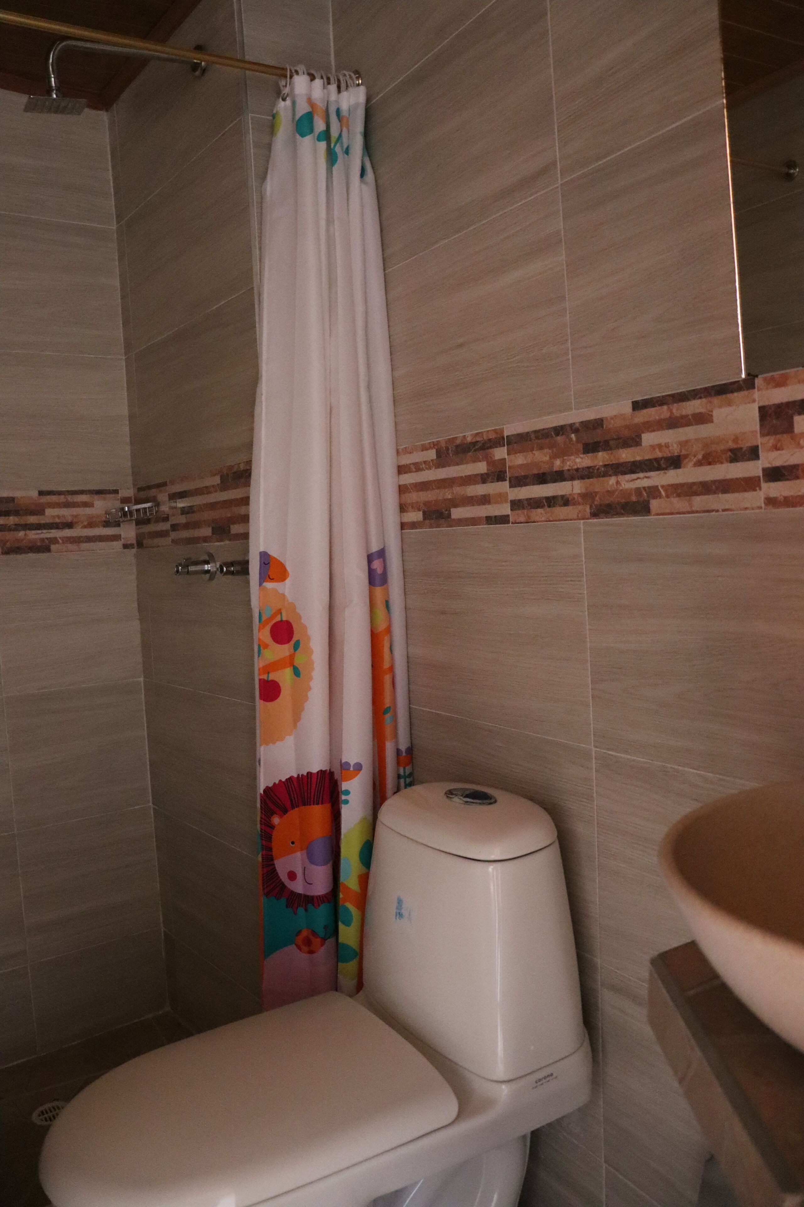 A bathroom with a toilet, a shower, and a sink.