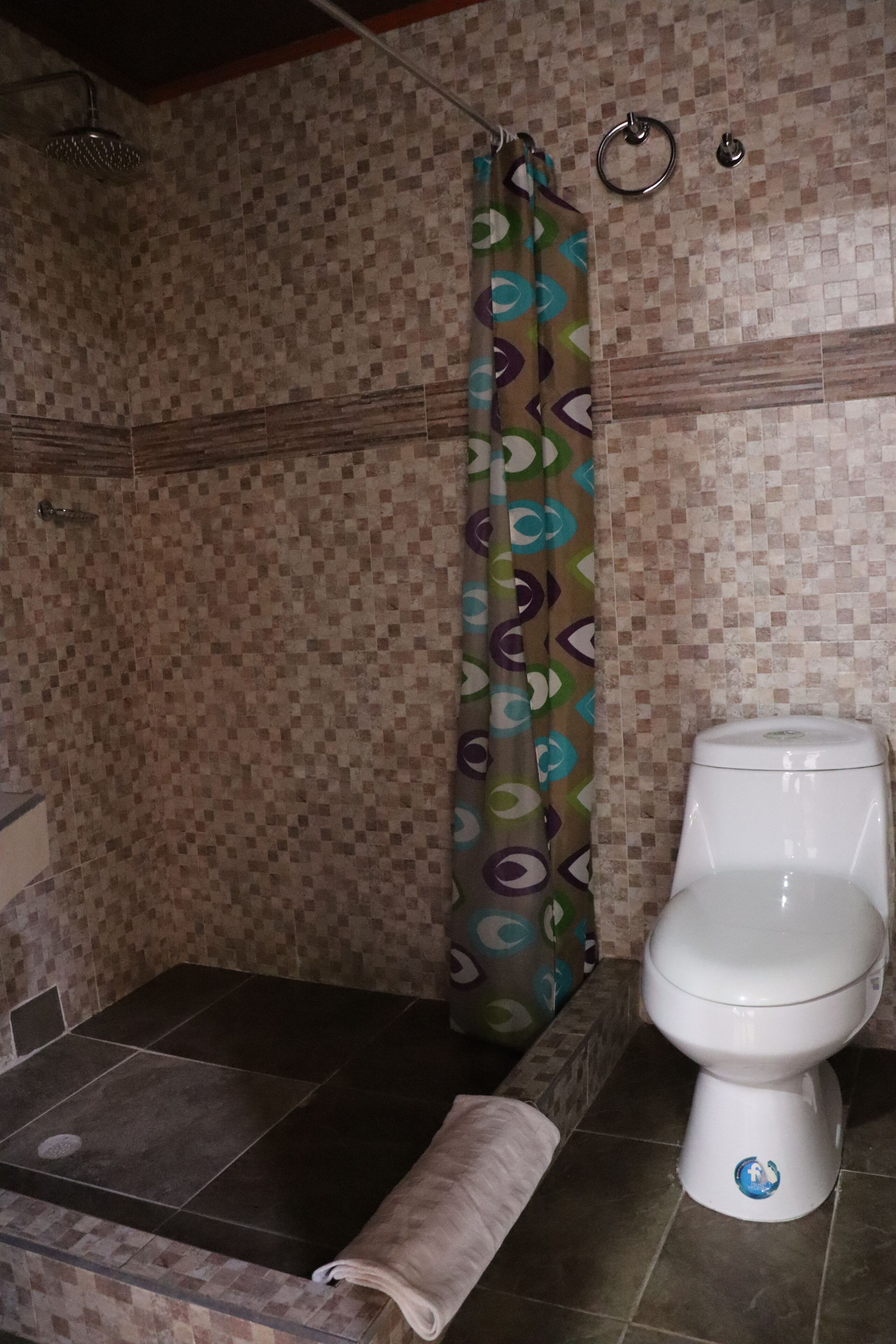 A bathroom with a shower, a toilet, and a patterned shower curtain.
