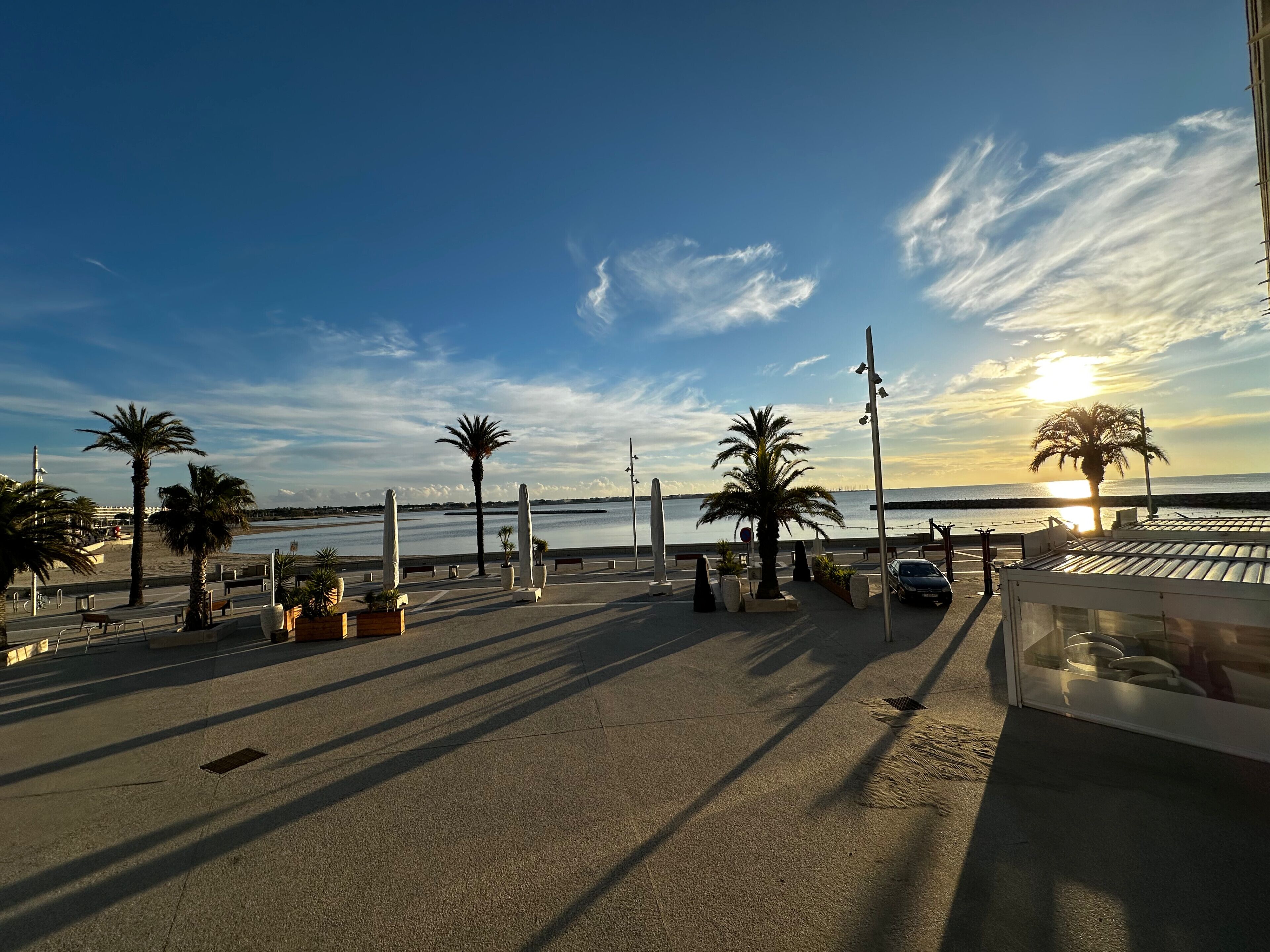 Un paseo marítimo con palmeras, bancos y una vista despejada del mar.