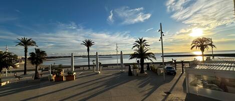 Un paseo marítimo con palmeras, bancos y una vista despejada del mar.