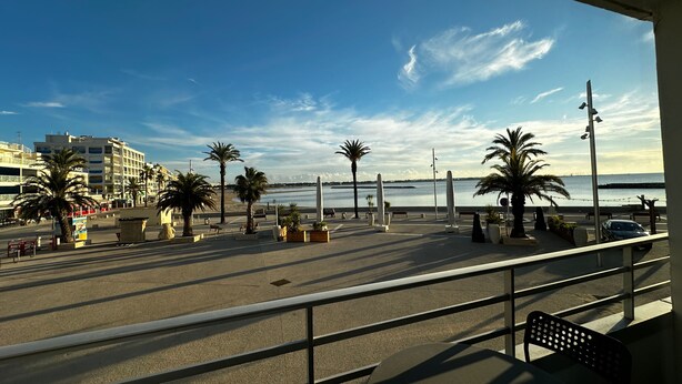 Une promenade en bord de mer, bordée de palmiers et agrémentée de bancs, d’où l ’on peut admirer la vue sur la mer.