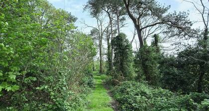 Escape and unplug in this off-grid eco Shepherd’s Hut.