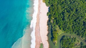 An aerial view of a beach with clear turquoise waters, a sandy shore, and dense green vegetation. - Affordable Luxury In Mexico 1 (Nuevo Vallarta)