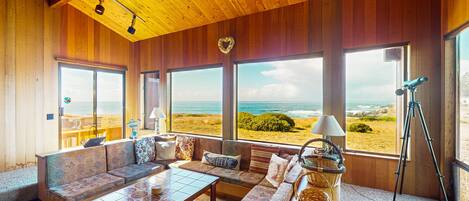 Télévision, lecteur de DVD, baby-foot, table de tennis de table