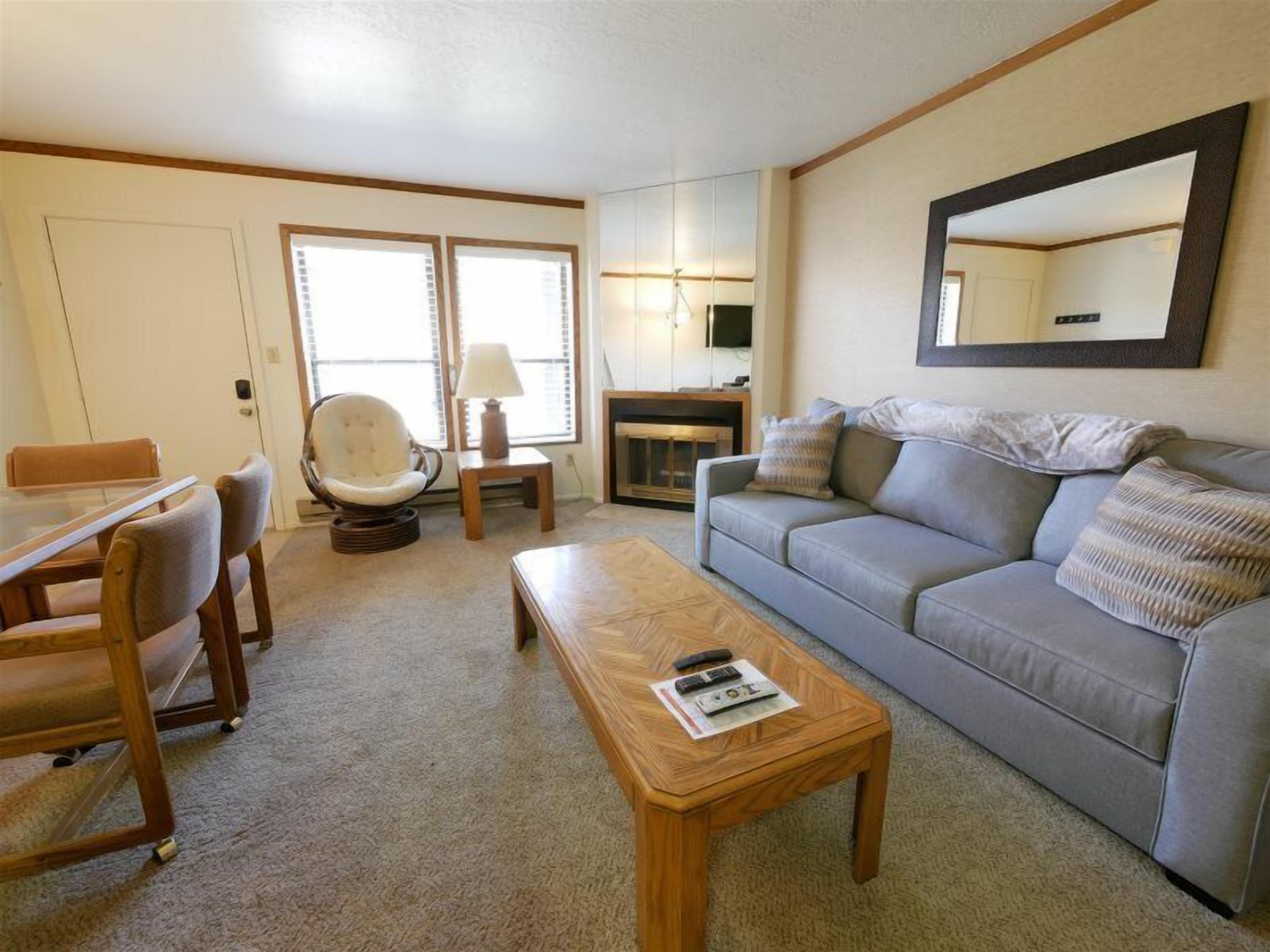 Smart TV, fireplace, DVD player, video library