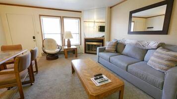 Smart TV, fireplace, DVD player, video library