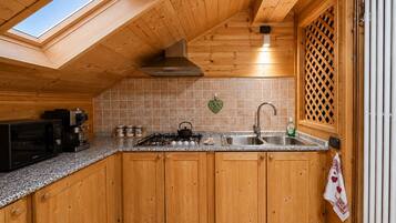 Fridge, stovetop, cookware/dishes/utensils, spices