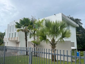 Stunning two-story building with a flat roof and manicured lawn, surrounded by palm trees and a metal fence.