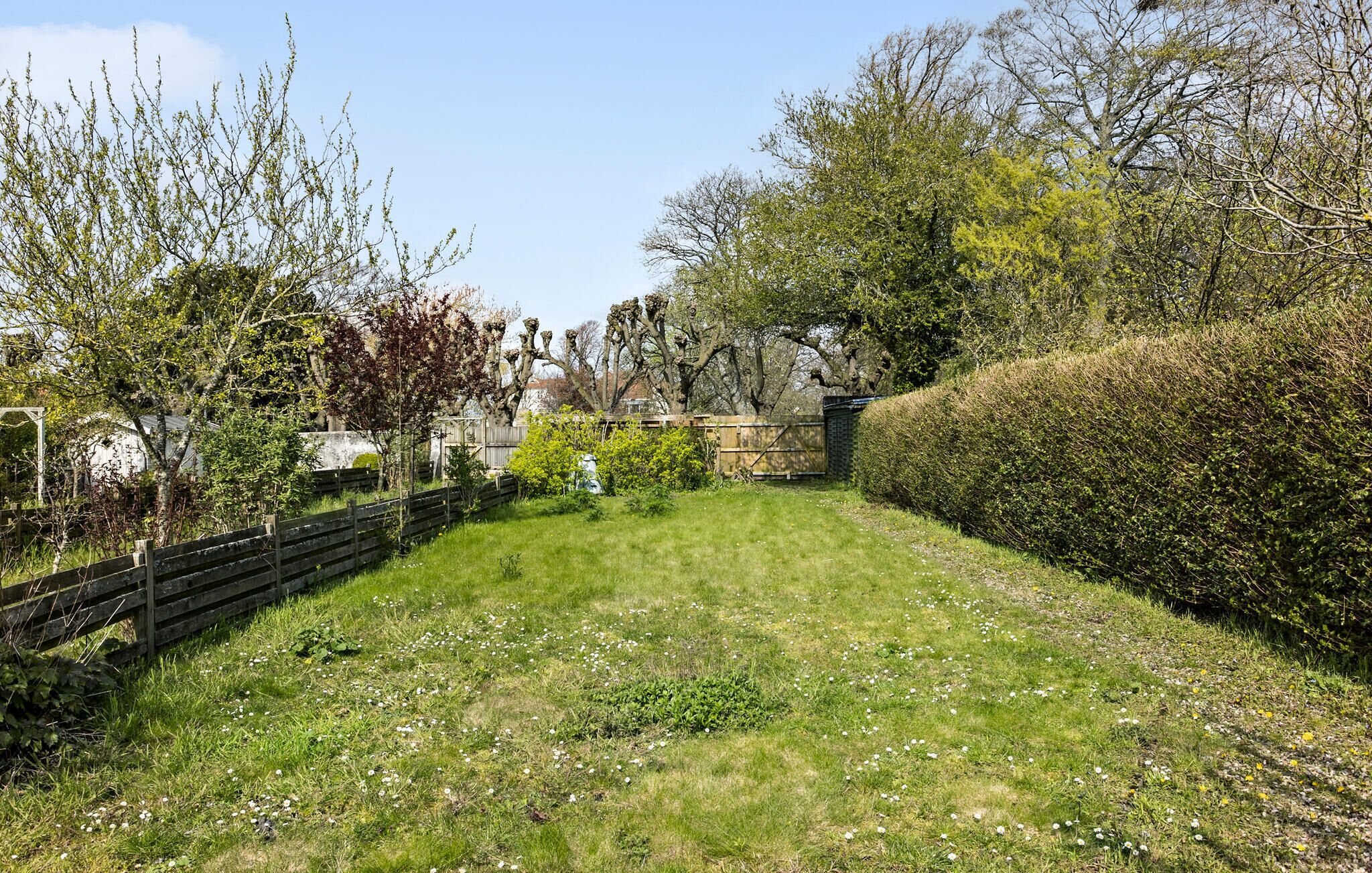 A grassy backyard with a wooden fence, a stone wall, and various trees and shrubs.