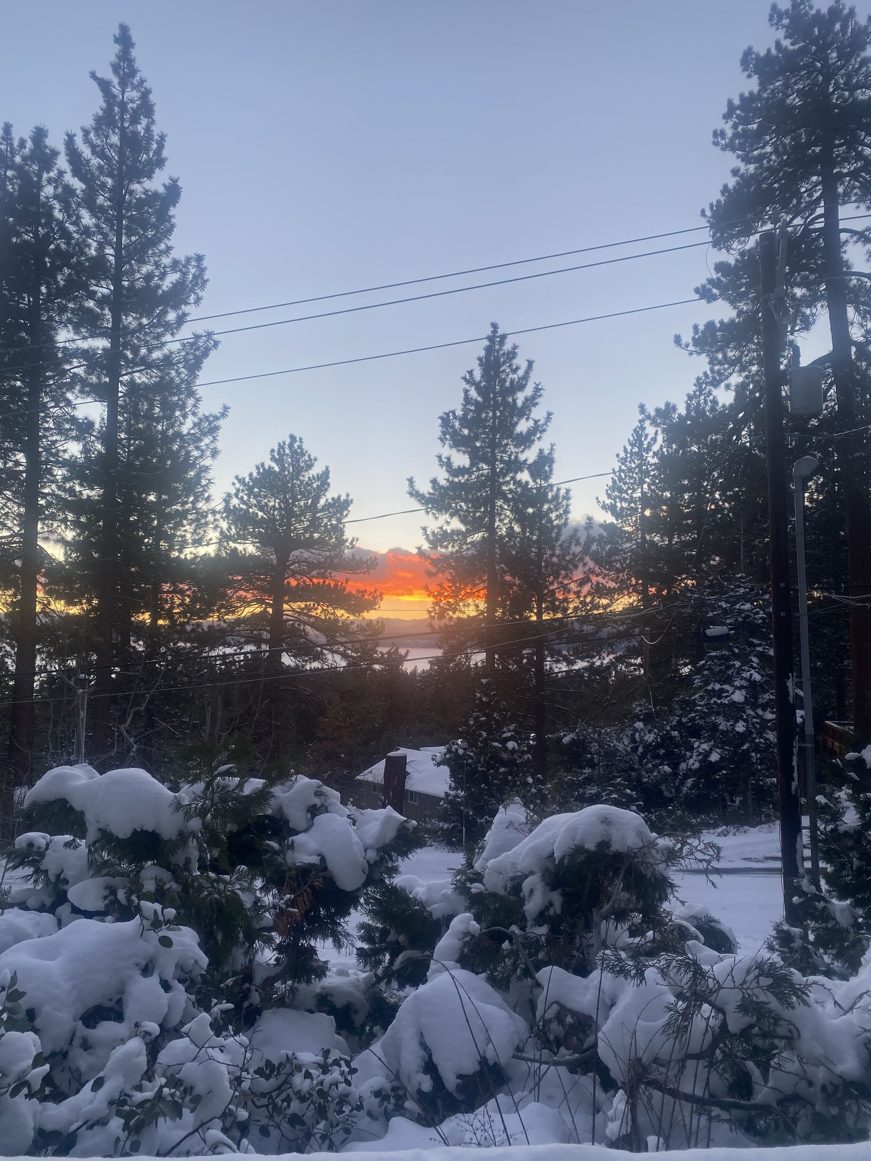 Ett snötäckt landskap med höga, vintergröna träd och en solnedgång i bakgrunden.